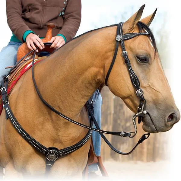 Back in Black Browband Headstall